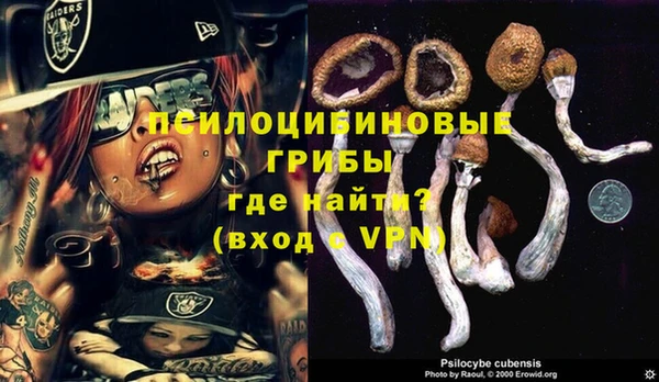MDMA Premium VHQ Карталы