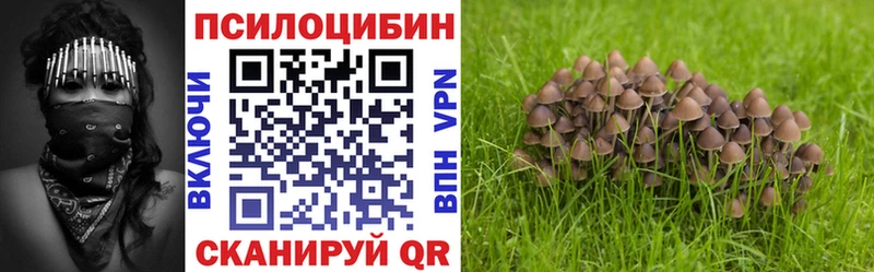 Псилоцибиновые грибы MAGIC MUSHROOMS  Кедровый 
